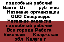 подсобный рабочий . Вахта. От 30 000 руб./мес. › Название организации ­ ООО Спецресурс › Название вакансии ­ подсобный рабочий - Все города Работа » Вакансии   . Калужская обл.,Калуга г.